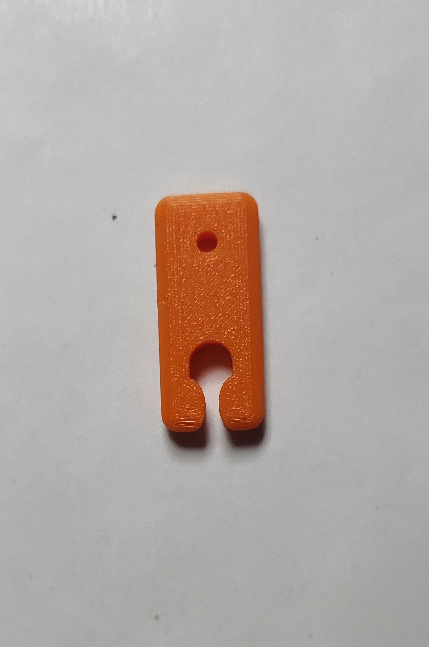 String Keepers - Image 3